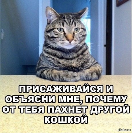 Объясни мне!