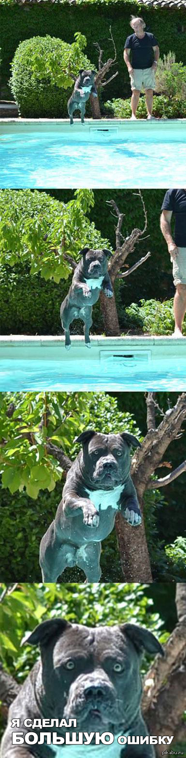 Когда я совершаю мужественный поступок | Пикабу