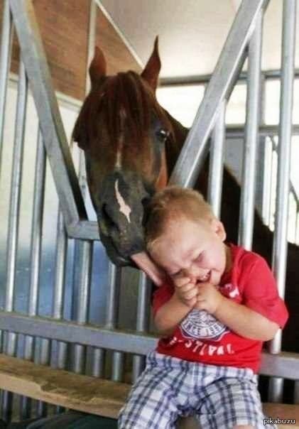 Немного няшности =)