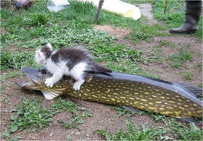 ������� ���� � ���� ����!