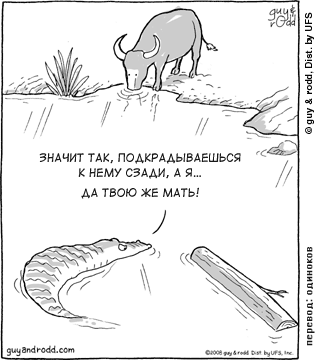 Brevity, ��� ������