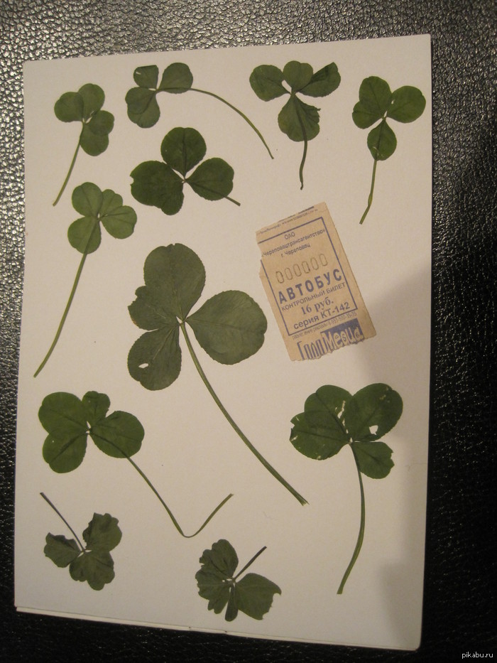 ���������� �����