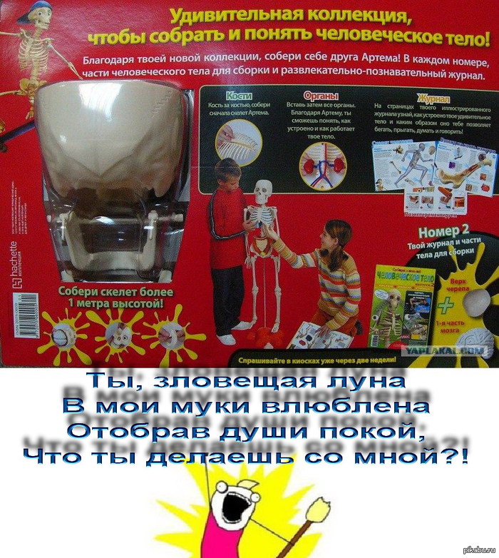 ����������� ��� ��������