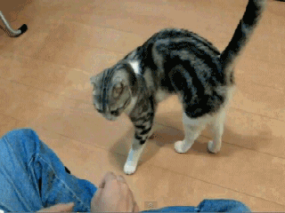 ,  , ! 