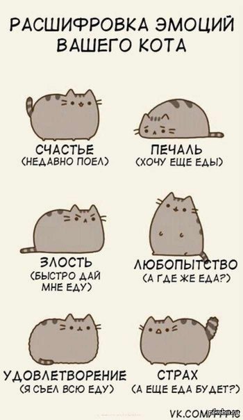 Pusheen the cat!) 