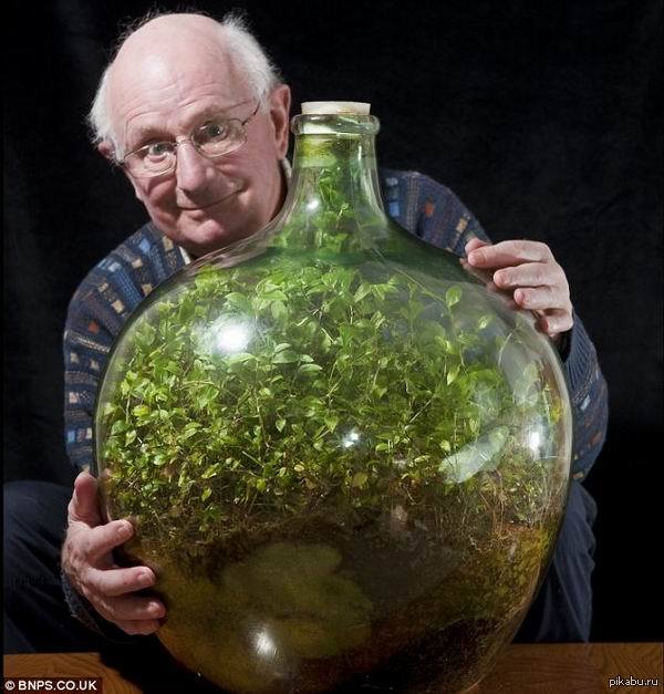 Экосистема, которая уже сорок лет развивается в закупоренной бутылке. В последний раз он поливал его ни много ни мало 40 лет назад.  Подробнее: http://www.realfacts.ru/index.php?newsid=3480
