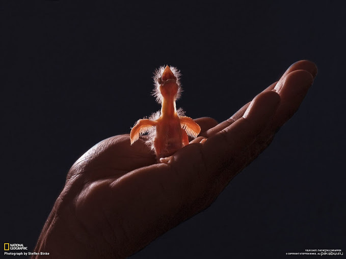 ������ ��������� 4� ���� �� ����.