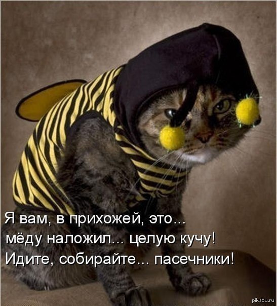 Создан микрочип, способный исцелять себя после повреждений Создан микрочип, способный исцелять себя после повреждений