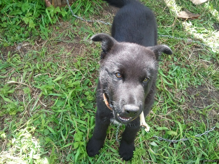 ������ �����