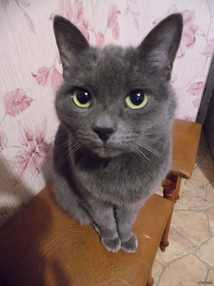    ,     : 