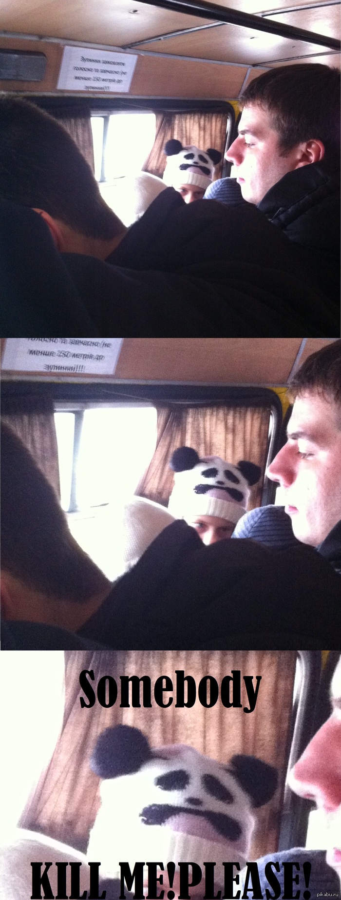 ���� � ���������)