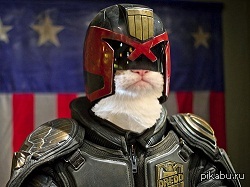 ������ ��� ����