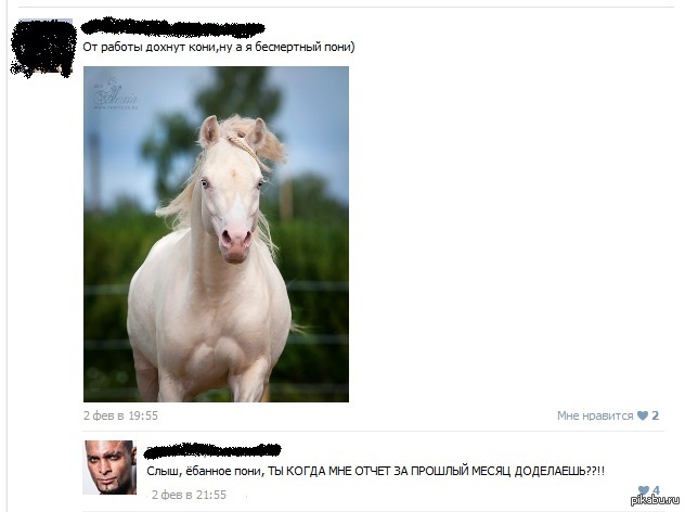 My Little FUCKING Pony )))