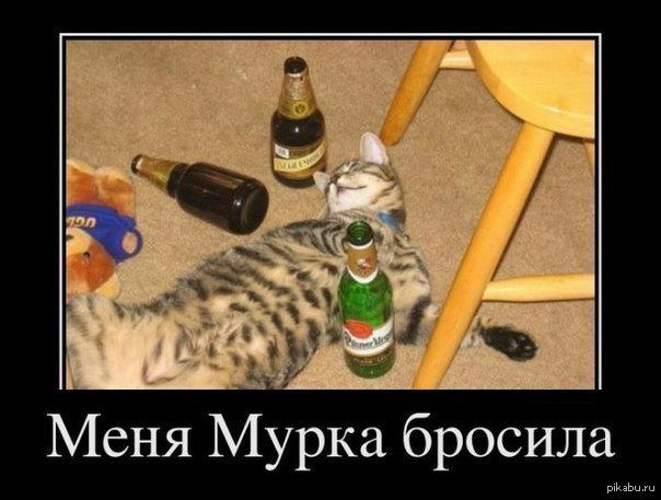 По тематике котиков ^_^