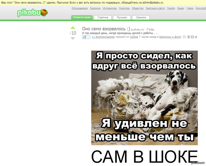 ������� �����������