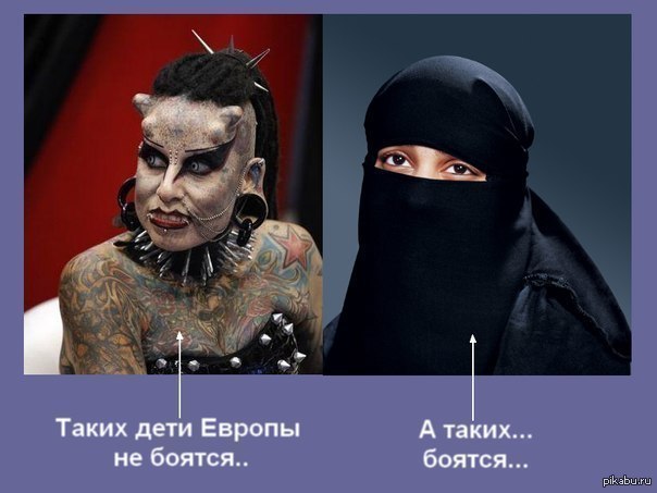 Мусульманские мемы. Таких боятся они. Таких боятся они. Афоризмы про зеленоглазых. Волк и предательство.