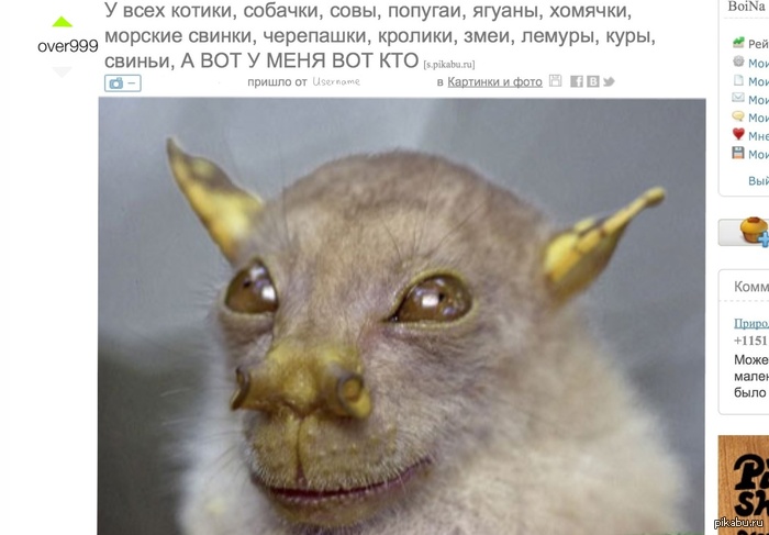 ������ � �������