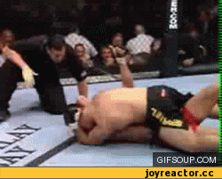 Не баян инфа 146%