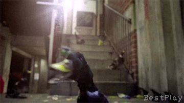 ������ ;)