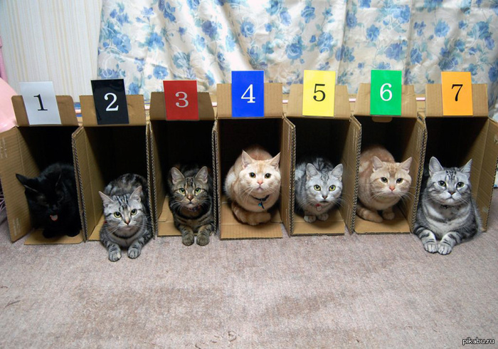 ������� �� ������� ������� ���� �����������.