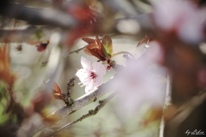 ��� ������� ��� � ��������?