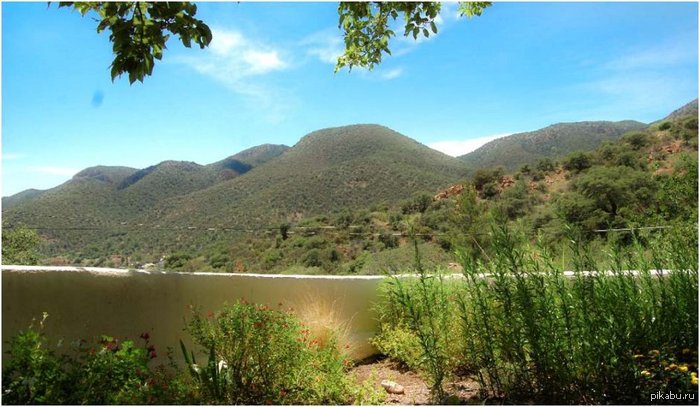 When you see it, you will shitbrix