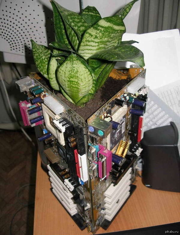 ����������� ������ ��������� ������...