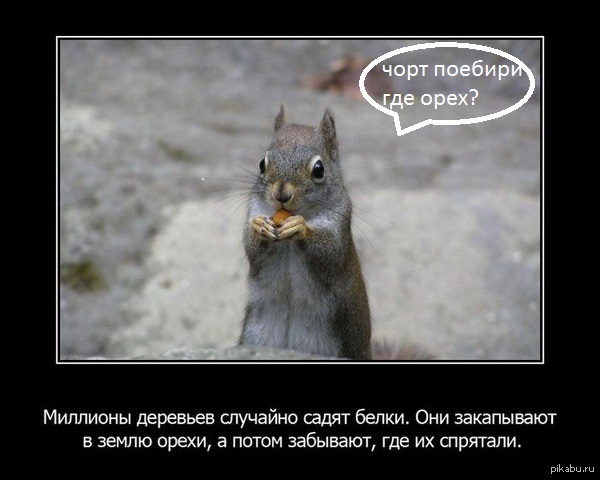 � ��� �� ������))