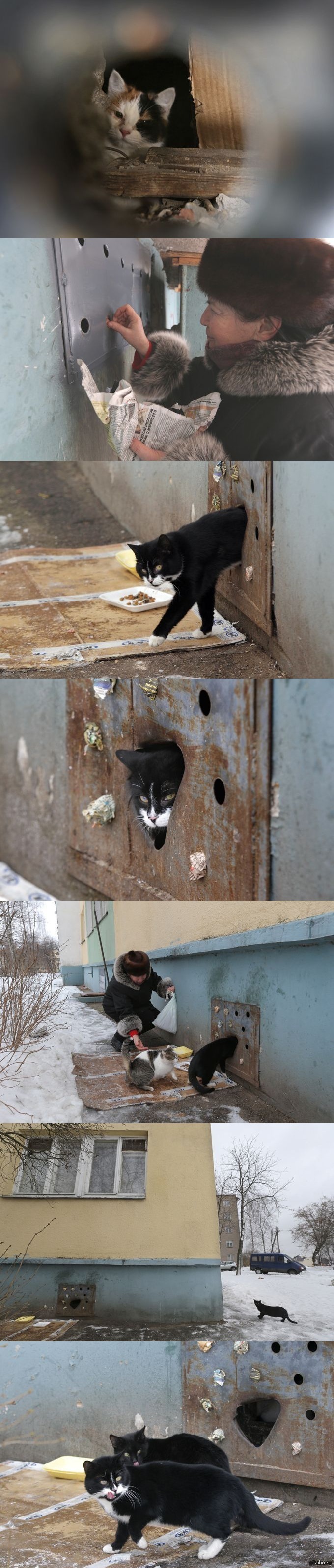 ��� ������� ������������� ������ ������� �����