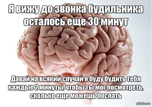 Когда день мозгов