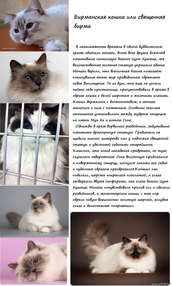 Я очарована *-*