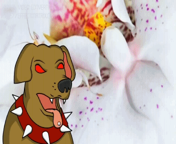 ������ �� ���� ((: