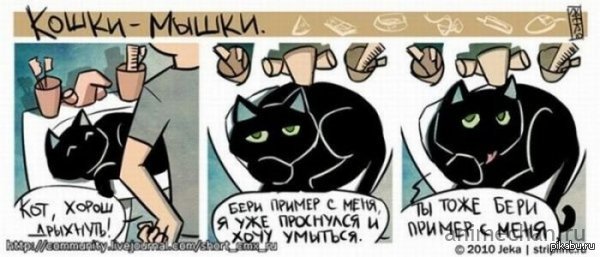 "Бери пример с меня" :З