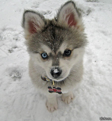 ��������� ������