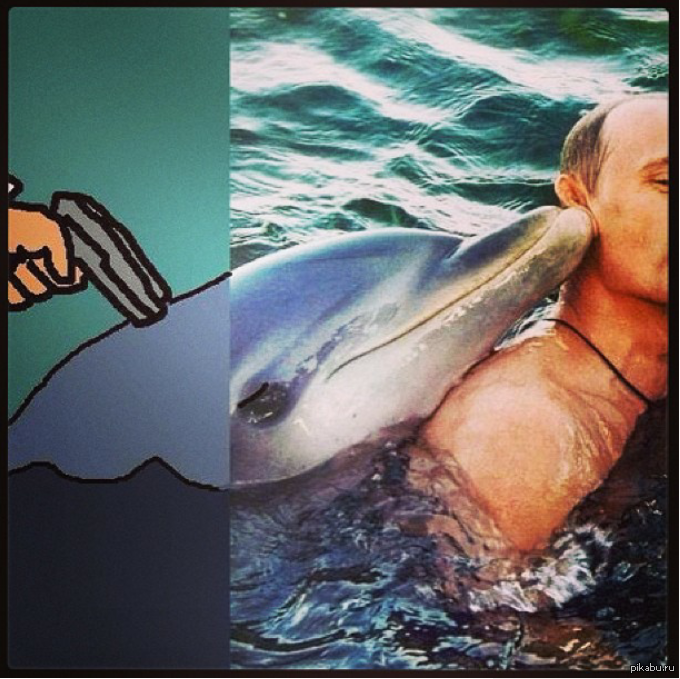 Песню умирающий дельфин. Человек с головой дельфина. Мужик Дельфин.