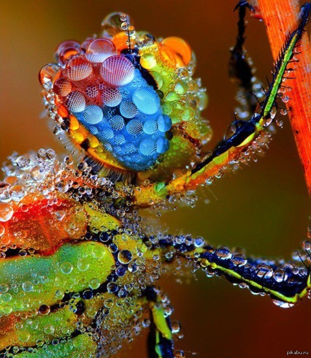 �������� � ������ ����