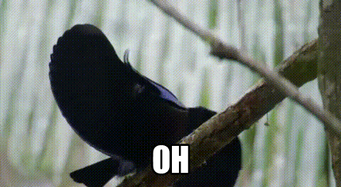 Imgur Cum Gif