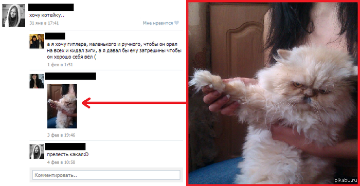 ��� ������