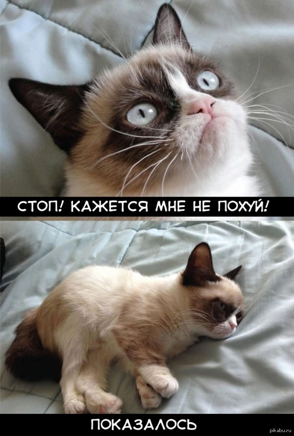 Показалось... | Пикабу