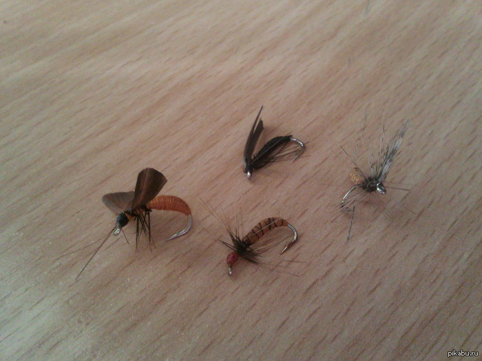 ��� ����� ����� ������ ��� �����