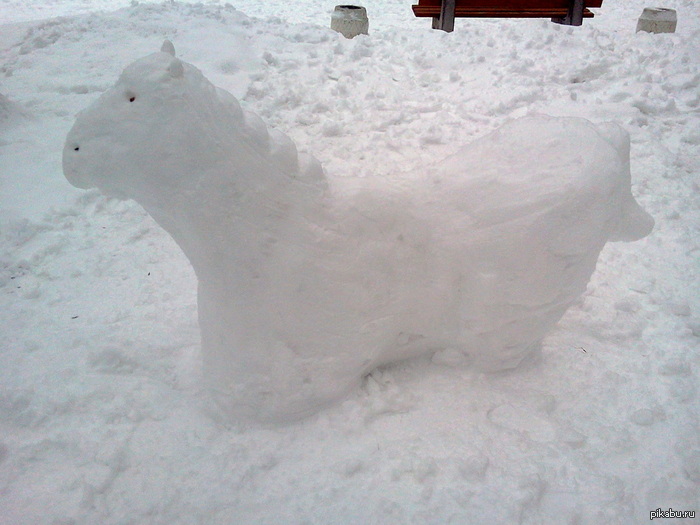 В Питере выпал снег.