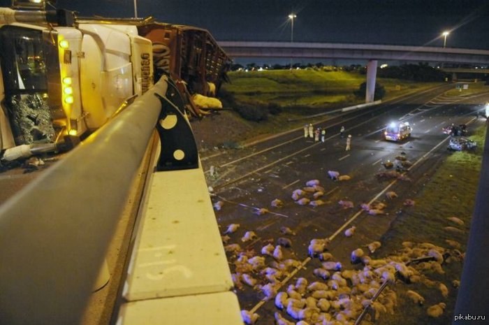 ��� ��� ���