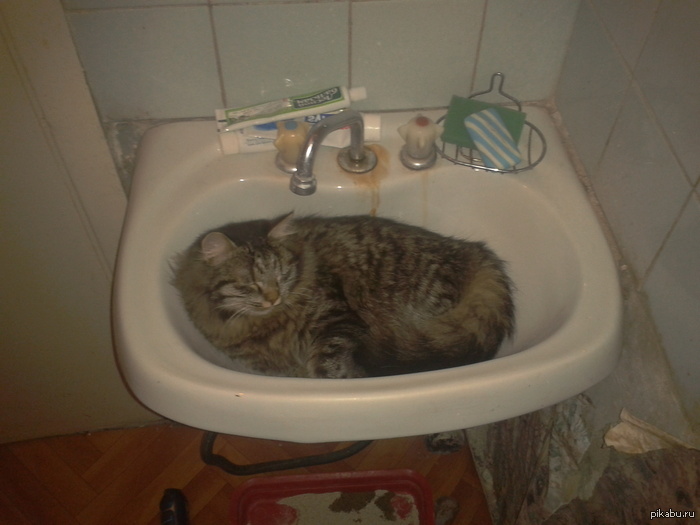 � ������