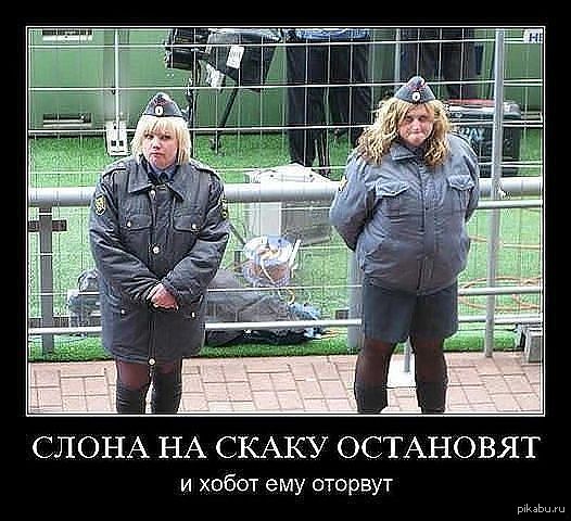 ��� ������, ��� � �� ����