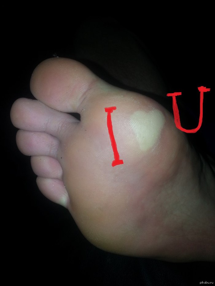 � ���������� ��������� ����������