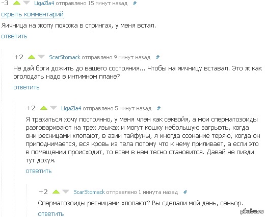 Сеньор и его верный друг