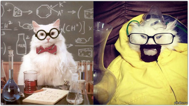 ��� ��� ����� ������� �������? :D