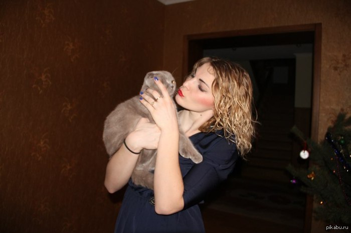 � ���������� ��������� )