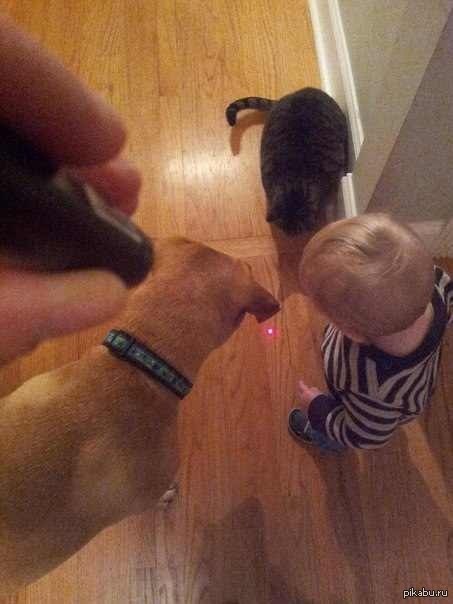 ����� �������� � �������...