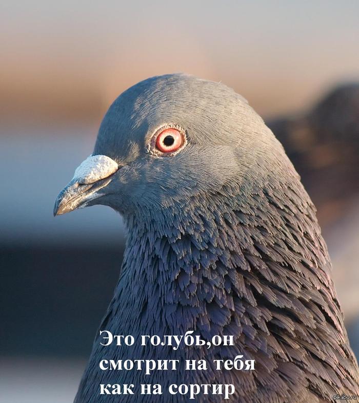 ������....